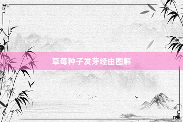 草莓种子发芽经由图解